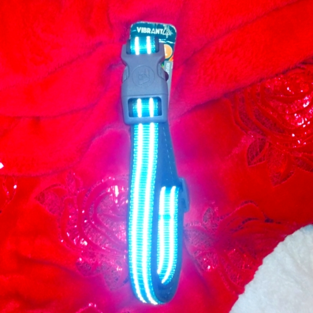 dog collar